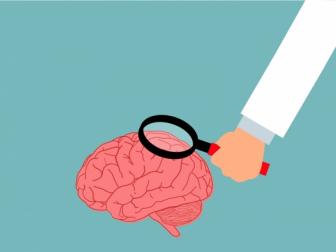 [헬스톡톡] 기억력 저하로 자주 ‘깜빡’ 거리는 당신…뇌기능 향상시키려면?